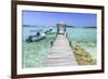 A Wood Pier Leads to Moored Boats and Clear Tropical Waters Near Staniel Cay, Exuma, Bahamas-James White-Framed Photographic Print