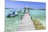 A Wood Pier Leads to Moored Boats and Clear Tropical Waters Near Staniel Cay, Exuma, Bahamas-James White-Mounted Photographic Print