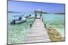 A Wood Pier Leads to Moored Boats and Clear Tropical Waters Near Staniel Cay, Exuma, Bahamas-James White-Mounted Photographic Print