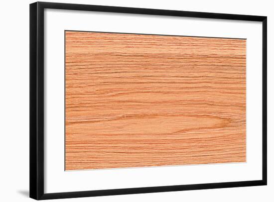 A Wood Texture for Pattern and Background.-joytasa-Framed Photographic Print