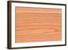 A Wood Texture for Pattern and Background.-joytasa-Framed Photographic Print