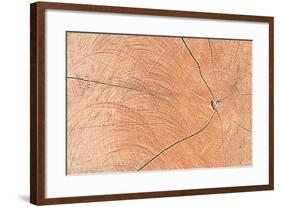 A Wood Texture for Pattern and Background-joytasa-Framed Photographic Print