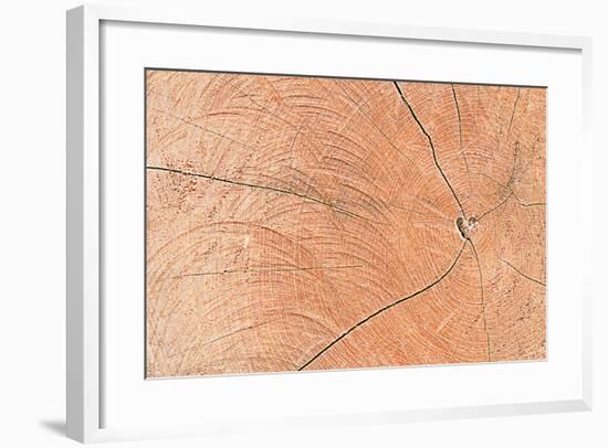A Wood Texture for Pattern and Background-joytasa-Framed Photographic Print