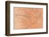 A Wood Texture for Pattern and Background-joytasa-Framed Photographic Print