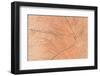 A Wood Texture for Pattern and Background-joytasa-Framed Photographic Print