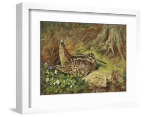 A Woodcock and Chicks, 1933-Archibald Thorburn-Framed Giclee Print