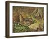A Woodcock and Chicks, 1933-Archibald Thorburn-Framed Giclee Print