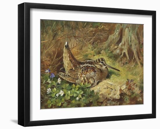 A Woodcock and Chicks, 1933-Archibald Thorburn-Framed Giclee Print