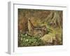 A Woodcock and Chicks, 1933-Archibald Thorburn-Framed Giclee Print