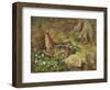 A Woodcock and Chicks-Archibald Thorburn-Framed Giclee Print