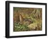 A Woodcock and Chicks-Archibald Thorburn-Framed Giclee Print