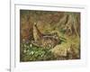 A Woodcock and Chicks-Archibald Thorburn-Framed Giclee Print