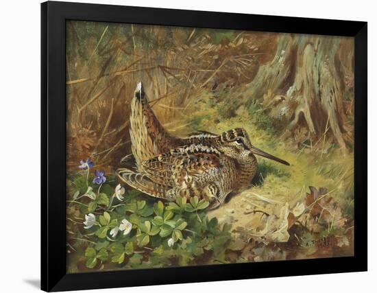 A Woodcock and Chicks-Archibald Thorburn-Framed Giclee Print