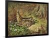 A Woodcock and Chicks-Archibald Thorburn-Framed Giclee Print