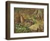 A Woodcock and Chicks-Archibald Thorburn-Framed Premium Giclee Print