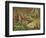 A Woodcock and Chicks-Archibald Thorburn-Framed Premium Giclee Print