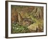 A Woodcock and Chicks-Archibald Thorburn-Framed Giclee Print