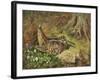 A Woodcock and Chicks-Archibald Thorburn-Framed Giclee Print