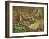 A Woodcock and Chicks-Archibald Thorburn-Framed Giclee Print