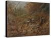 A Woodcock Nesting in Autumn Leaves-Archibald Thorburn-Stretched Canvas