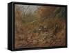A Woodcock Nesting in Autumn Leaves-Archibald Thorburn-Framed Stretched Canvas