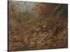 A Woodcock Nesting in Autumn Leaves-Archibald Thorburn-Stretched Canvas