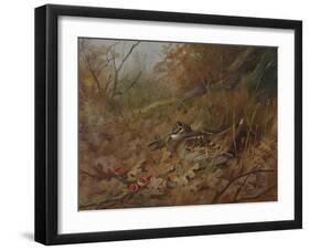 A Woodcock Nesting in Autumn Leaves-Archibald Thorburn-Framed Giclee Print