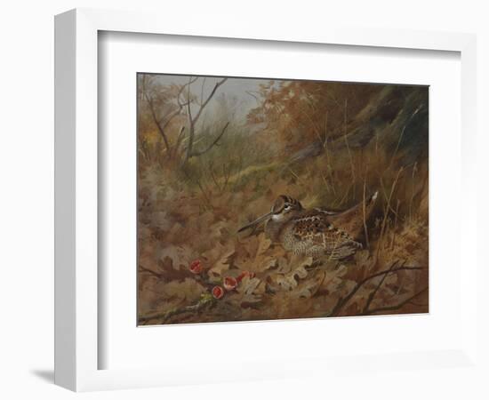 A Woodcock Nesting in Autumn Leaves-Archibald Thorburn-Framed Giclee Print