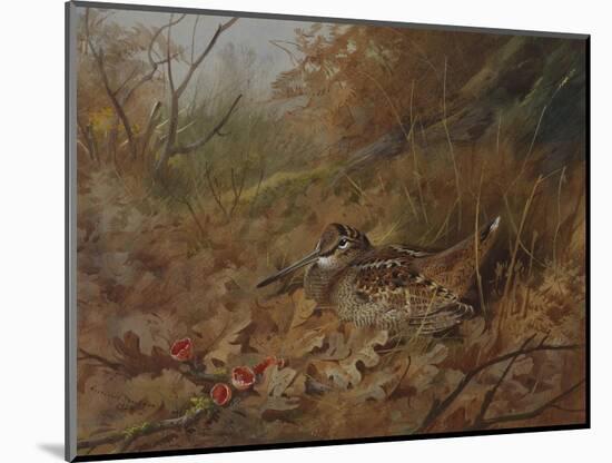 A Woodcock Nesting in Autumn Leaves-Archibald Thorburn-Mounted Giclee Print