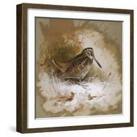 A Woodcock-Archibald Thorburn-Framed Giclee Print