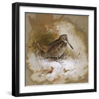 A Woodcock-Archibald Thorburn-Framed Giclee Print