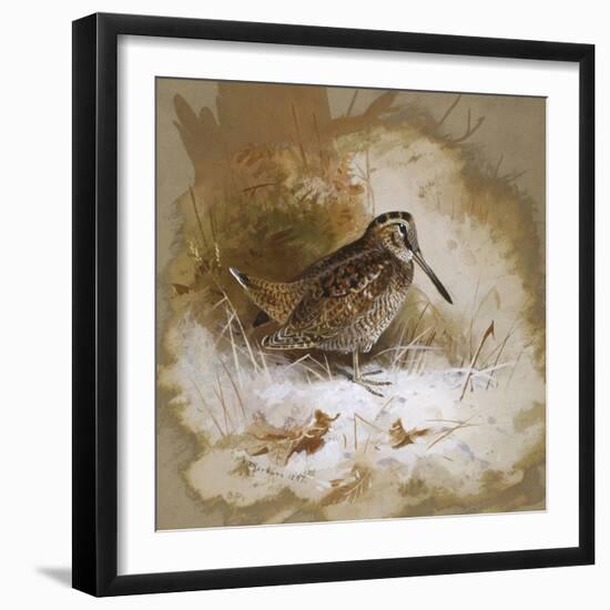 A Woodcock-Archibald Thorburn-Framed Giclee Print