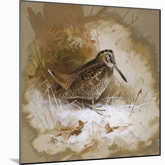 A Woodcock-Archibald Thorburn-Mounted Giclee Print