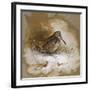 A Woodcock-Archibald Thorburn-Framed Giclee Print