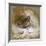 A Woodcock-Archibald Thorburn-Framed Giclee Print