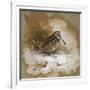 A Woodcock-Archibald Thorburn-Framed Giclee Print