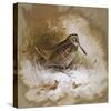 A Woodcock-Archibald Thorburn-Stretched Canvas