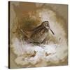 A Woodcock-Archibald Thorburn-Stretched Canvas