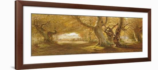 A Wooded Landscape, 1887-Andrew Mccallum-Framed Giclee Print