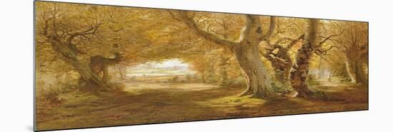 A Wooded Landscape, 1887-Andrew Mccallum-Mounted Giclee Print