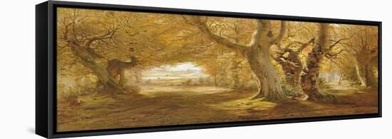 A Wooded Landscape, 1887-Andrew Mccallum-Framed Stretched Canvas
