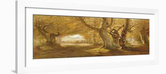 A Wooded Landscape, 1887-Andrew Mccallum-Framed Giclee Print