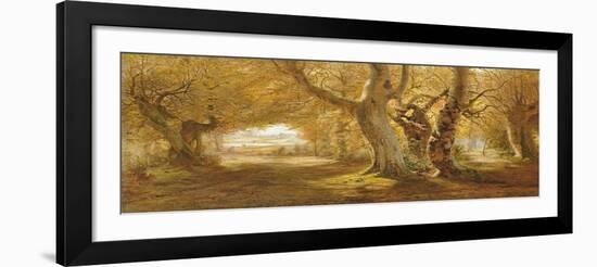 A Wooded Landscape, 1887-Andrew Mccallum-Framed Giclee Print