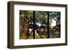 A Wooded Landscape in Three Panels, ca. 1905-Louis Comfort Tiffany-Framed Giclee Print