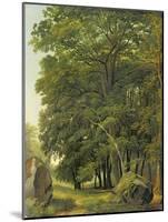 A Wooded Landscape (Oil on Paper on Panel)-Ramsay Richard Reinagle-Mounted Giclee Print