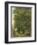 A Wooded Landscape (Oil on Paper on Panel)-Ramsay Richard Reinagle-Framed Giclee Print