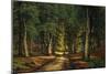 A Wooded Landscape with Deer-Carsten Henrichsen-Mounted Giclee Print