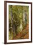 A Wooded River Landscape, 1893-Peder Mork Monsted-Framed Giclee Print