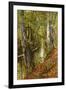 A Wooded River Landscape, 1893-Peder Mork Monsted-Framed Giclee Print