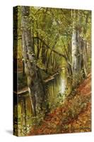 A Wooded River Landscape, 1893-Peder Mork Monsted-Stretched Canvas